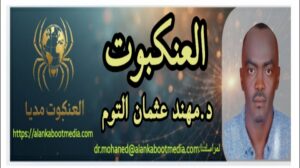 متلازمة الكيزان شماعة الفشل أم أزمة هوية في السودان؟