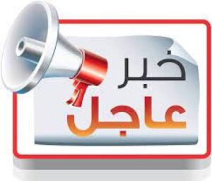 تأجيل البيان الختامي لقمة الاتحاد الإفريقي: التأكيد على ضرورة إسكات البنادق في السودان