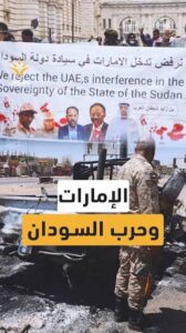 إفادة هدسون بمجلس الأمن تتهم الإمارات بتمويل الدعم المباشر لـ«الدعم السريع»