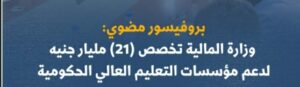 وزارة المالية تخصص 21 مليار جنيه لدعم مؤسسات التعليم العالي الحكومية: بروفيسور مضوي