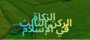 احصل علي بروشور خاص عن الأسئلة المتوقعة عن الزكاة للجامعيين والشهادة الثانوية